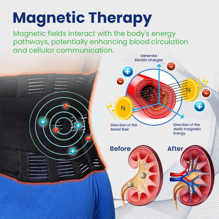 Ceoerty™ KidneyGuard Acupressure Therapy Belt English ERUN 